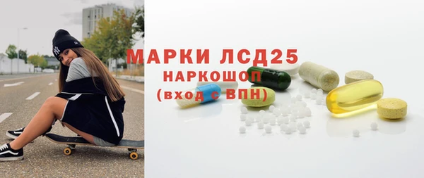 дмт Тайга